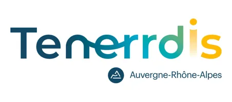 Tenerrdis
